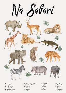 plakat edukacyjny zwięrzeta na safari, zwierzęta Afryki