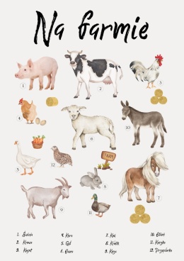 plakat edukacyjny zwierzęta na farmie, farma, zwierzęta na wsi, zwierzęta gospodarskie