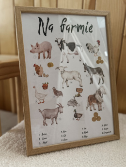 plakat edukacyjny zwierzęta na farmie, farma, zwierzęta na wsi, zwierzęta gospodarskie