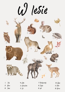 plakat edukacyjny leśne zwierzęta, zwierzęta w lesie