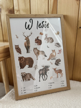 plakat edukacyjny leśne zwierzęta, zwierzęta w lesie